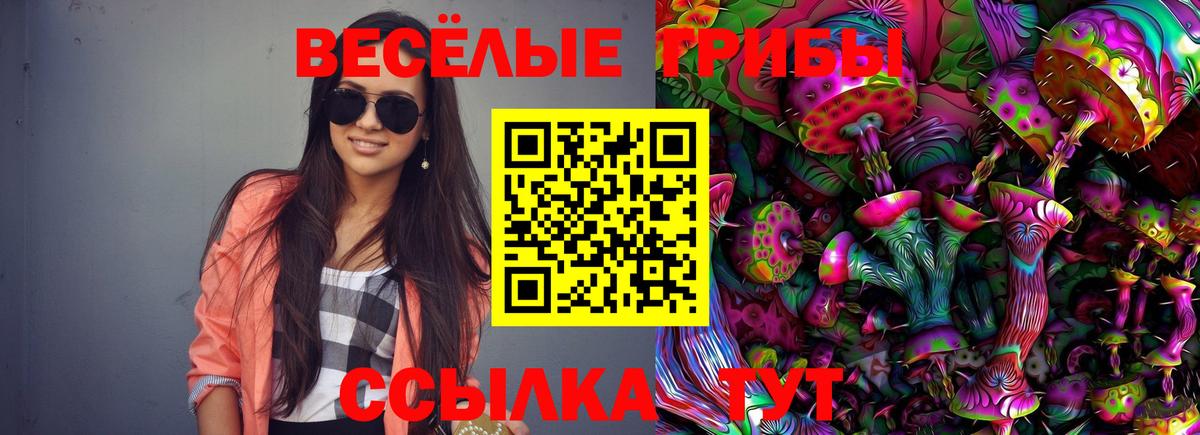 Псилоцибиновые грибы MAGIC MUSHROOMS Кисловодск